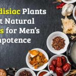 Aphrodisiac Plants Best Natural Herbs for men’s Impotence