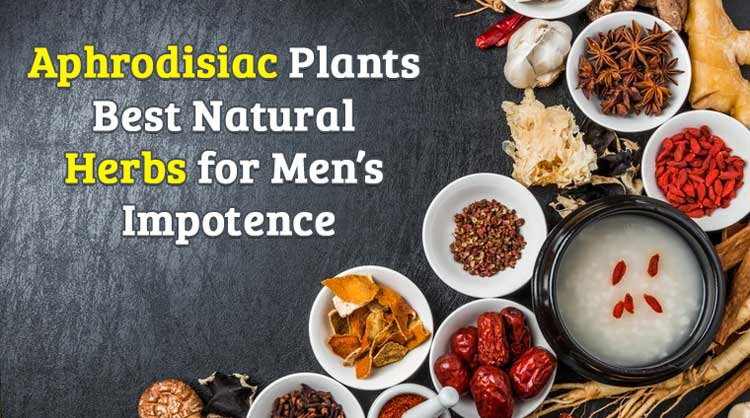 Aphrodisiac Plants Best Natural Herbs for men’s Impotence