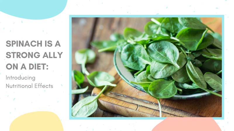Spinach Is A Strong Ally On A Diet: Introducing Nutritional Effects