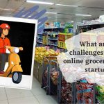 What are the challenges faced by online grocery delivery startups?