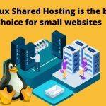Is Linux Shared Hosting is the best choice for small websites