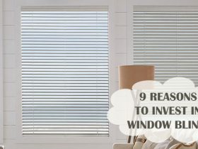 9 Reasons To Invest in Window Blinds