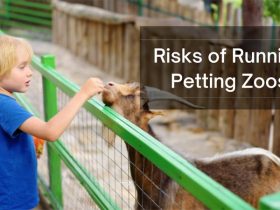 Risks of Running Petting Zoos