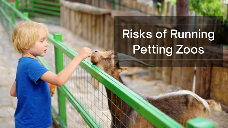 Risks of Running Petting Zoos