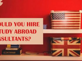 Should You Hire A Study Abroad Consultants?