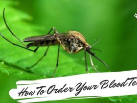 How To Order Your Blood Test?