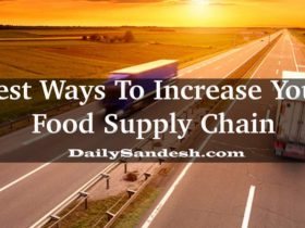 Best Ways To Increase Your Food Supply Chain
