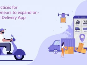 Best Practices for Entrepreneurs to expand on-demand Delivery App