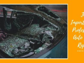 The Importance of Professional Auto Glass Repair