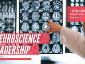 The Link Between Neuroscience and Leadership