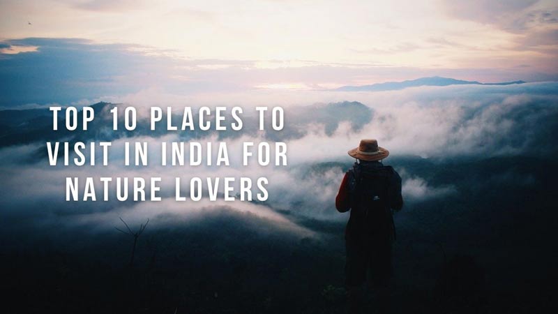 Top 10 Places To Visit In India For Nature Lovers