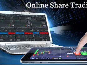 Share Trading- A High Risk and High Return Investing Option