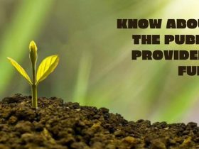 Know About The Public Provident Fund