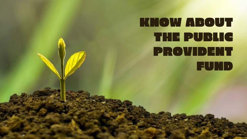 Know About The Public Provident Fund