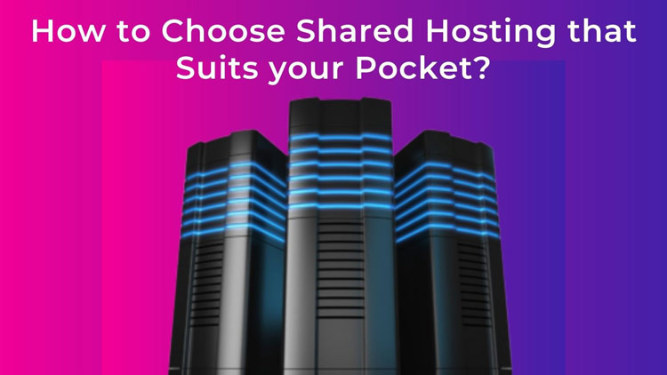 How to Choose Shared Hosting that Suits your Pocket?