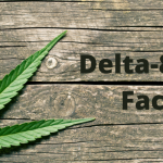 Delta-8 THC Facts
