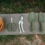 How to build a gardening website to sell gardening tools online?