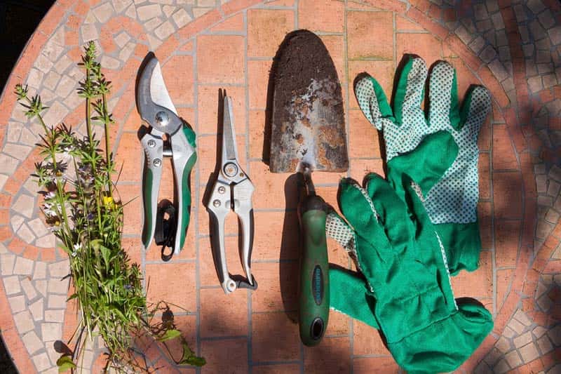 Dig It ‘Til You Make It: 9 Basic Tools You'll Need For Gardening