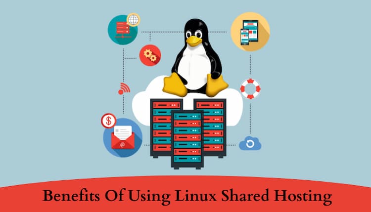 Linux Shared Hosting The Most Suitable Option