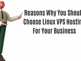Reasons Why You Should Choose Linux VPS Hosting For Your Business