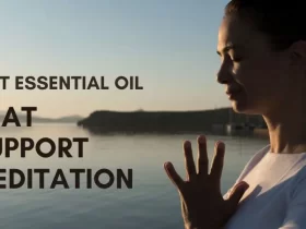 10 Best Essential Oil That Support Meditation