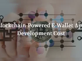 Blockchain-Powered E-Wallet App Development Cost