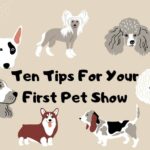 Ten Guidelines for Your First Pet Show