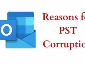 What are the Reasons for PST Corruption?